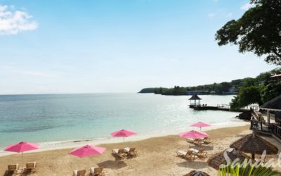 Jamaica travel guide