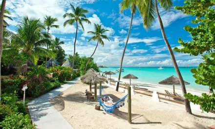 Marketplace Wraps at Sandals Grande Antigua, a New Caribbean Trends Report Lands, and Summer’s Best Sales Are Live — Steve’s Weekly Wrap (May 15, 2026)