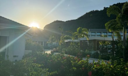 St. Vincent Travel Guide: Where to Stay, Eat, and Explore