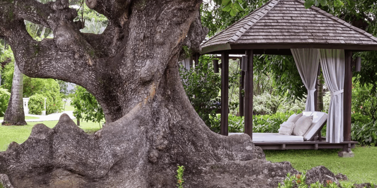 Best Time to Visit Sandals Resorts: A Month-by-Month Guide for 2026