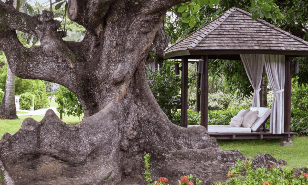 Best Time to Visit Sandals Resorts: A Month-by-Month Guide for 2026