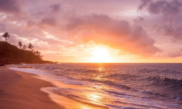 Sandals Grenada Team Wins $10,000 in Brand’s First-Ever ‘Resort Riddims’ Jingle Competition