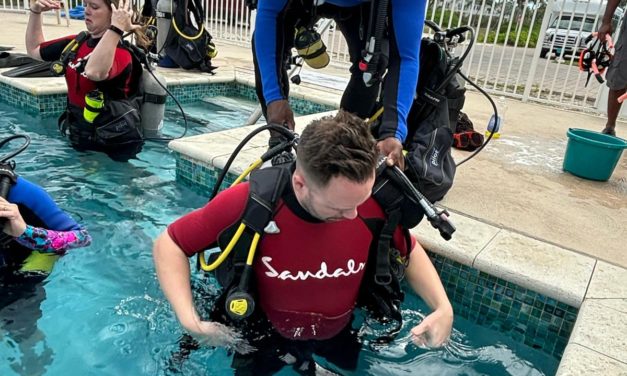 Best Sandals Resorts for Scuba Diving: Where Certified Divers Should Book (2026)